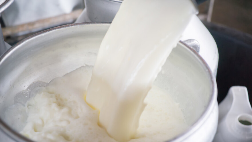 Cene mlečnih proizvoda globalno pale na najniži nivo u pet godina