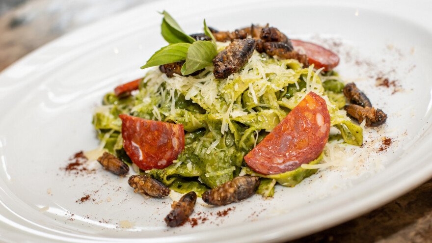 Insekti uskoro na evropskim tanjirima? Čeka se dozvola za prodaju