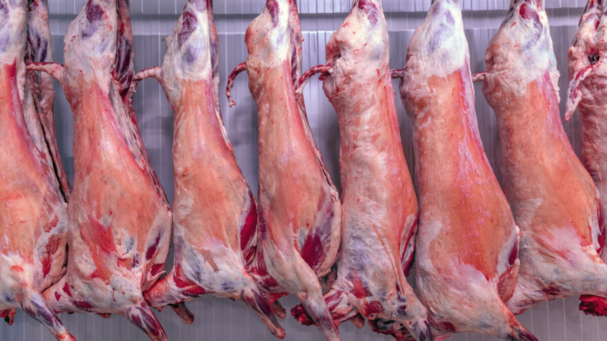 Zabranili klanje životinja bez prethodnog omamljivanja - krše vjerske slobode?