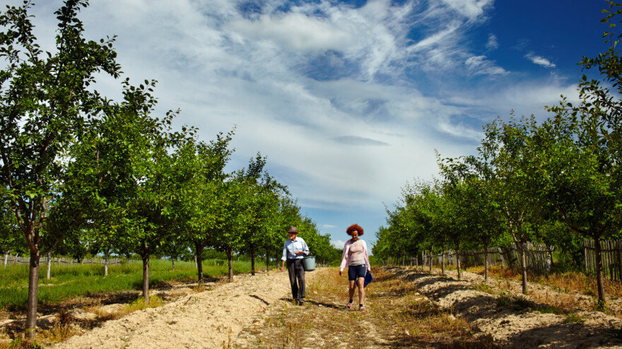 Ruma: 30.000 dinara za poljoprivrednike kao pomoć zbog rastućih cena