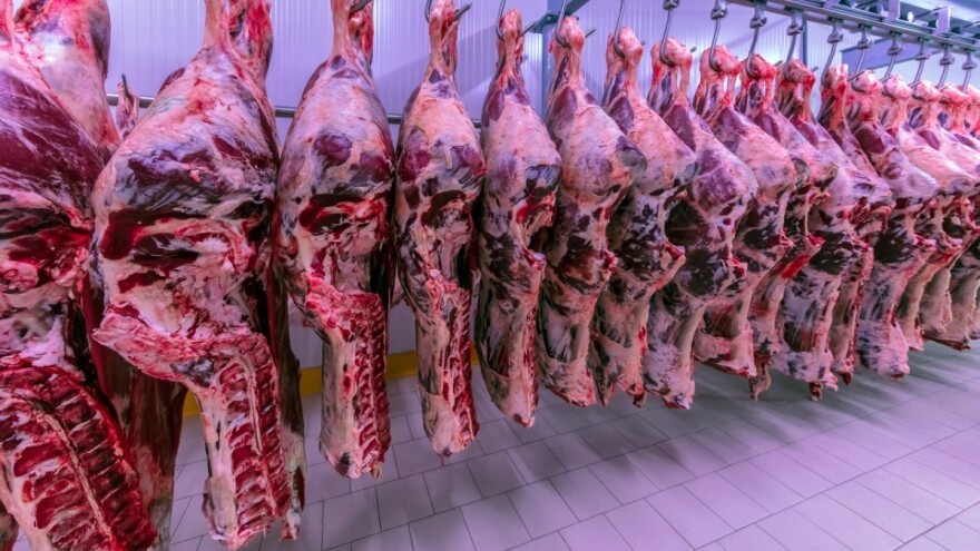 Raste globalna ponuda govedine, padaju cijene?