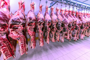 Koliko su zaradili najveći prerađivači mesa u BiH?