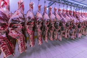 Brazil planira nadomjestiti ukrajinsko i rusko meso u Evropi