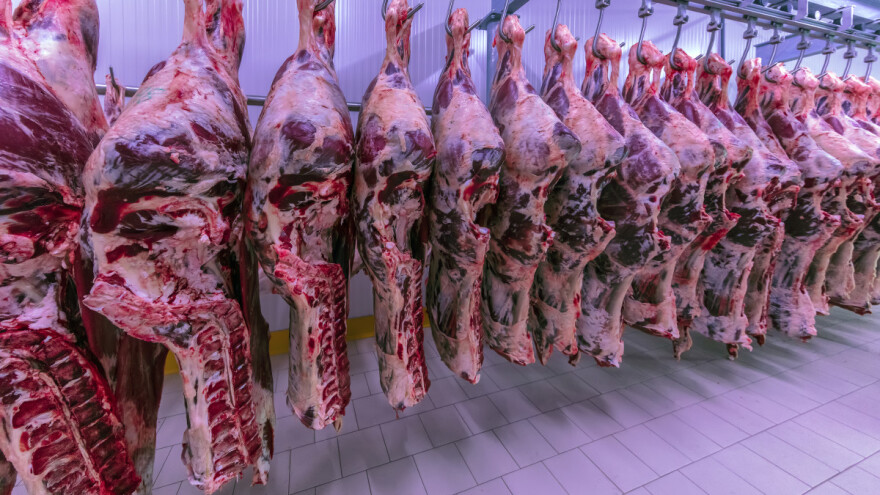 Brazil planira nadomjestiti ukrajinsko i rusko meso u Evropi