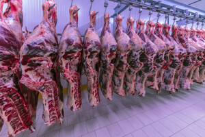 Od početka godine najviše uvezli mesa, a izvezli masnoća i ulja