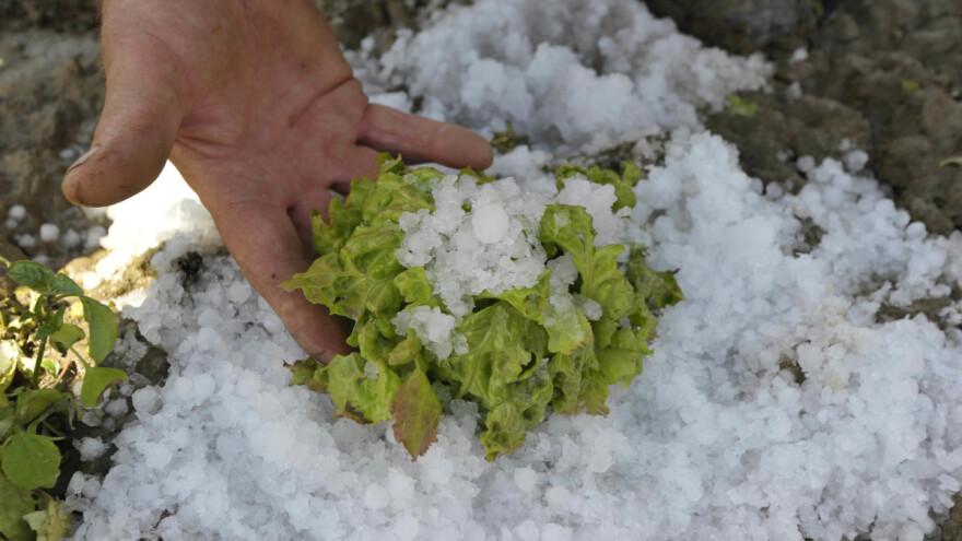 Nevrijeme na hrvatski način