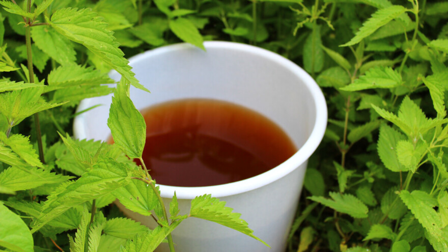 Kako napraviti biljno gnojivo od koprive?