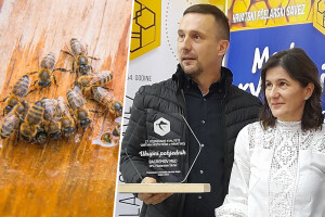 Marijan Škrlec otkrio tajnu šampionskog bagremovog meda
