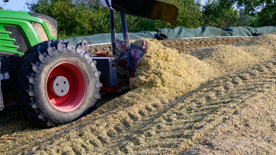 Sudjelujte u 7. natjecanju u kvaliteti kukuruzne silaže u Hrvatskoj