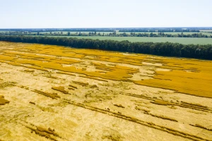 Očekuje nas vrelo leto, grad i olujno nevreme