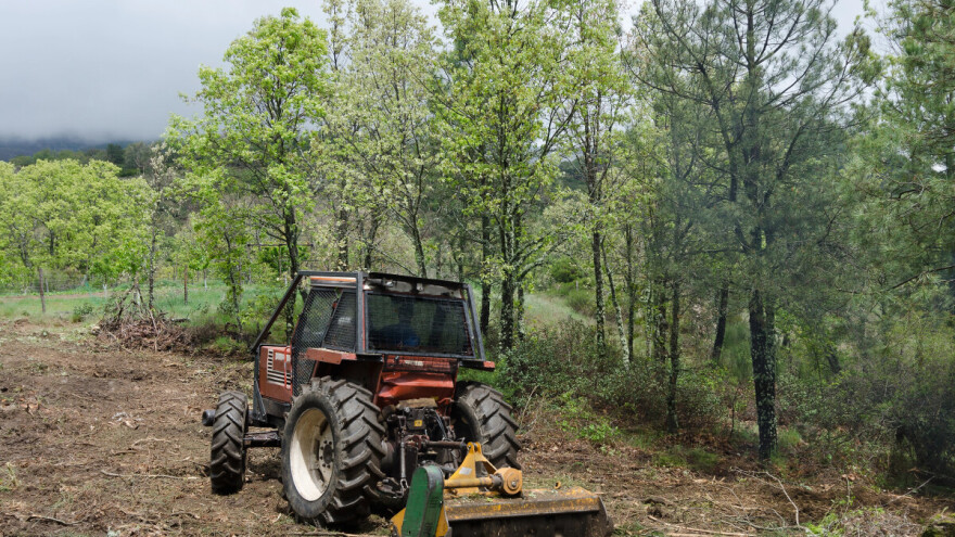 Štete u šumarstvu lani su se povećale za 508 posto