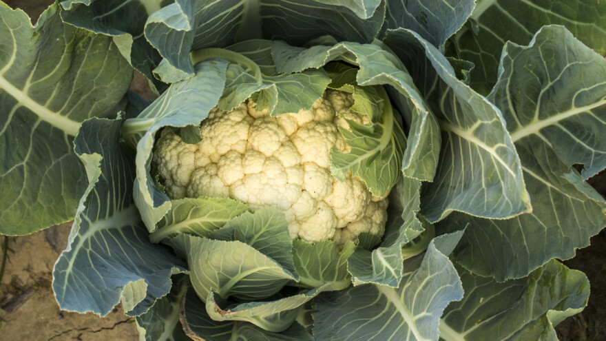 Zašto je karfiol ove godine tako skup?