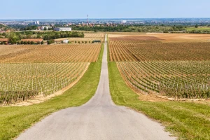 Strateški plan ZPP-a: Drugi krug konzultacija počinje u Iloku