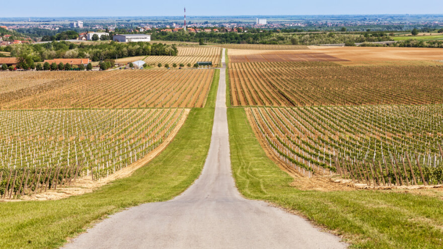 Strateški plan ZPP-a: Drugi krug konzultacija počinje u Iloku