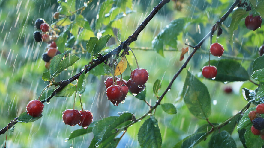 Poljoprivrednici budite na oprezu, najavljen je grad, ali i smjene sunca i kiše