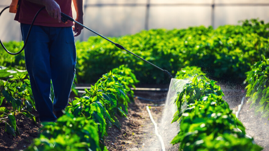 Borzan: U Bruxellesu lobiraju za pesticide, a kod kuće otežavaju život eko proizvođačima