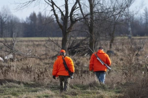 Zvonko Jagarinec bilježi velike štete od divljači - kako riješiti ovaj problem u Baranji?