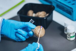 Analiza na pesticide: Kamo idu uzorci uzeti na nedozvoljene tvari?