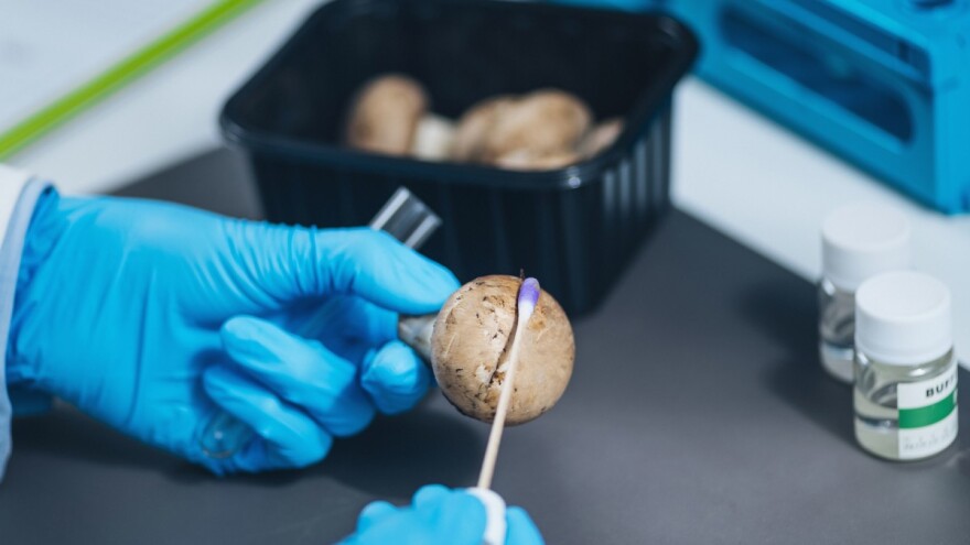 Analiza na pesticide: Kamo idu uzorci uzeti na nedozvoljene tvari?