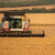 Rekordno visok prinos ruske pšenice od 4,4 tone po hektaru povećao prognozu uroda