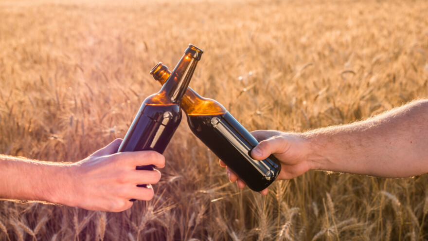 Pivo ili izotonični napitak - šta je bolji izbor za oporavak nakon naporne fizičke aktivnosti?