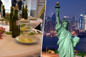 Novi uspjeh u New Yorku: Hrvatski maslinari treći na svijetu!?