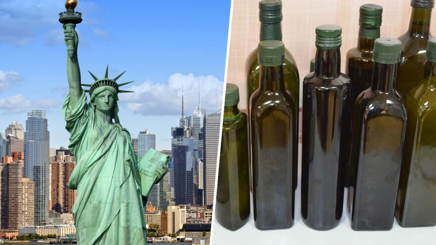 NYIOOC: Rekordnih 110 hrvatskih maslinovih ulja u konkurenciji za najbolje na svijetu