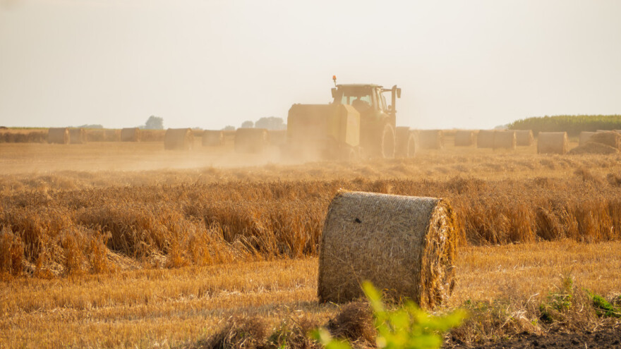 U nedjelju i do 41°C, nastavlja se i dalje sušni period?!