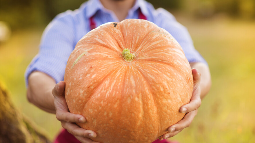 Poljoprivreda staromodna grana rada? U krivu ste!
