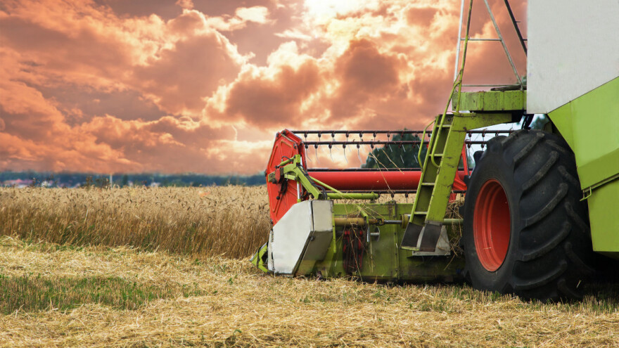 Visoke temperature i toplinski val odigrali svoje: Manje žitarica u Španjolskoj i Francuskoj