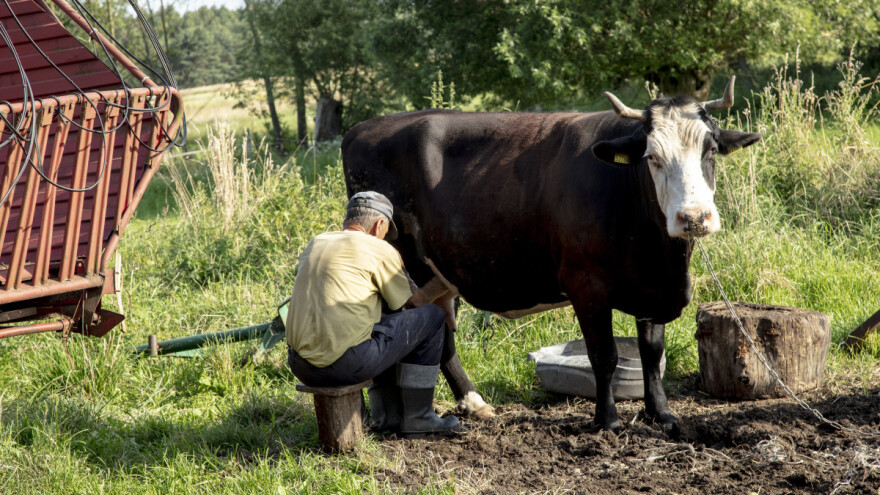 Aplicirali na ime drugog poljoprivrednika i uzeli tri miliona dinara za nepostojeće plastenike