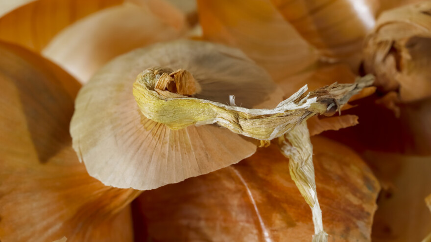 Kako ljuskom od lukova možemo zaštititi usev?