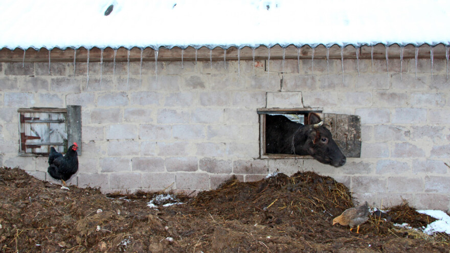 Što donosi nacrt prijedloga Strategije biogospodarstva do 2035.?