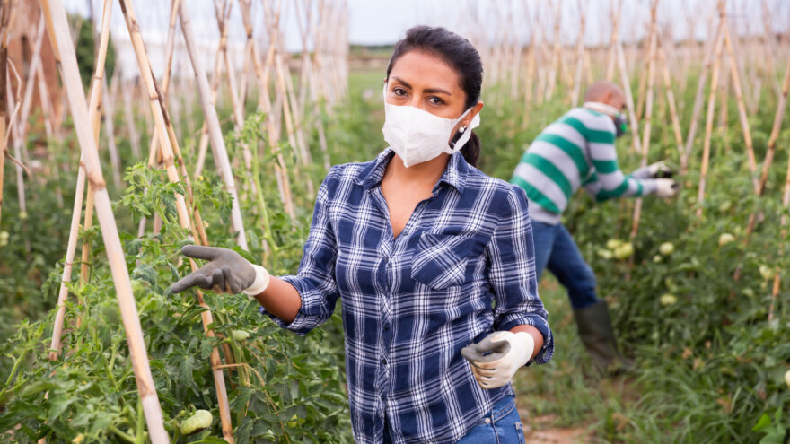 Seoske žene poseban su teret ponijele tijekom pandemije, a što su dobile?
