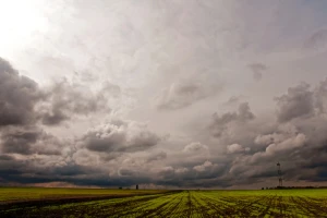 Novi porast temperature od petka, u delovima Srbije jaka suša