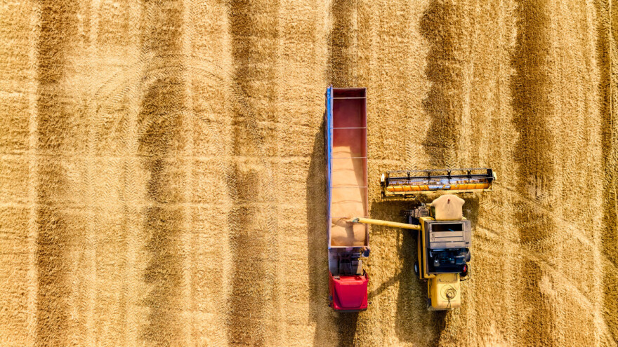 Pšenica najviše poskupela, kukuruz bez većih promena na svetskim berzama