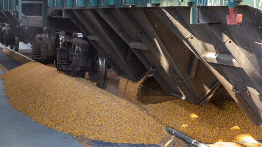 Cena dve žitarice stagnira - evropsko tržište i dalje preplavljuje uvoz iz Ukrajine