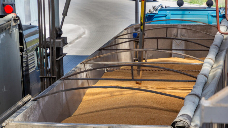 Manjak kukuruza zbog suše nadoknadit će onaj iz uvoza