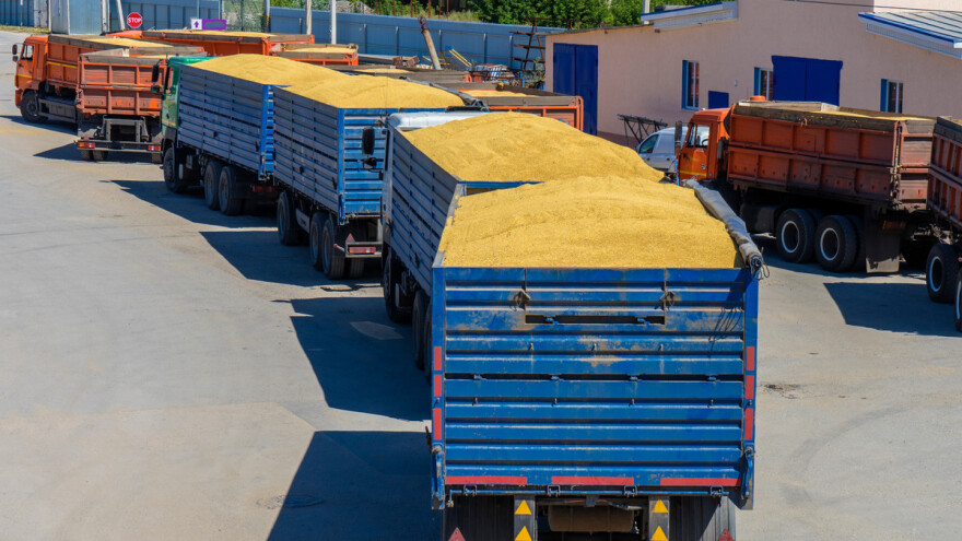 Raste cijena pšenice - razlog ruski porez na izvoz?