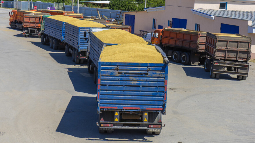 Odobren izvoz pšenice i kukuruza za Italiju