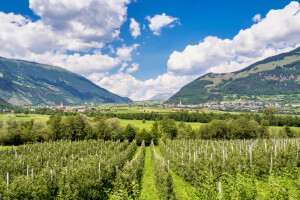Nema kuća za domaće, gostima gužva: Južni Tirol uveo zabrane u turizmu