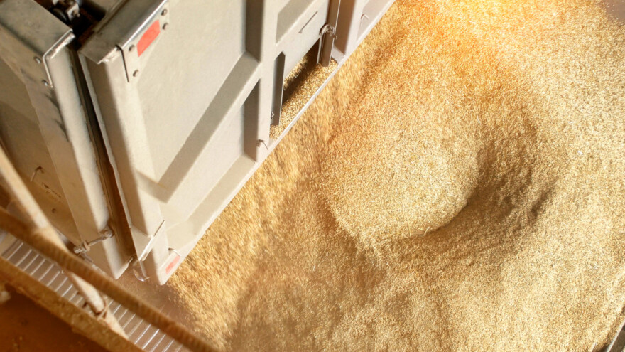 Ukrajinske žitarice: Udruženja traže mere kontrole, a pet zemalja carine na najosetljivije proizvode