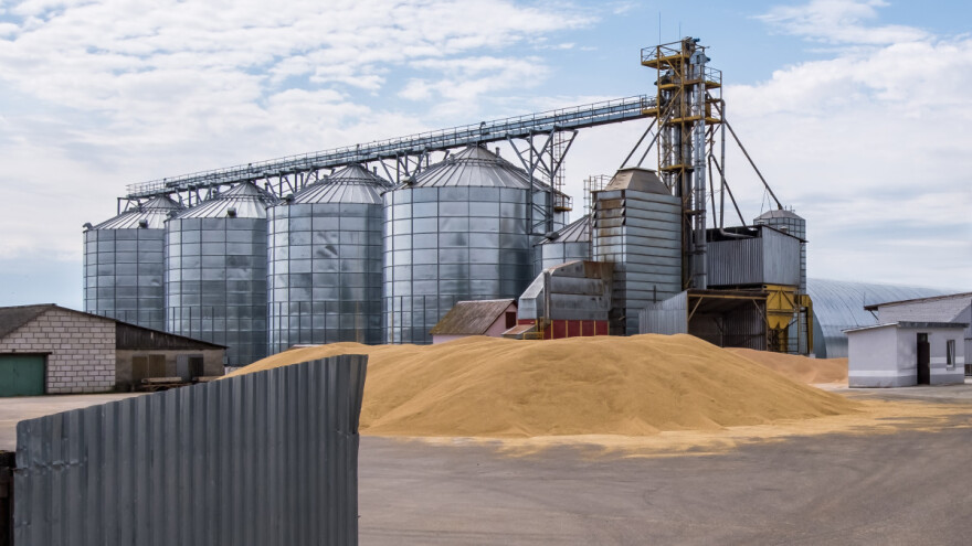 Cjenovna klackalica na tržištu žitarica i uljarica se nastavlja - kako stoji pšenica?