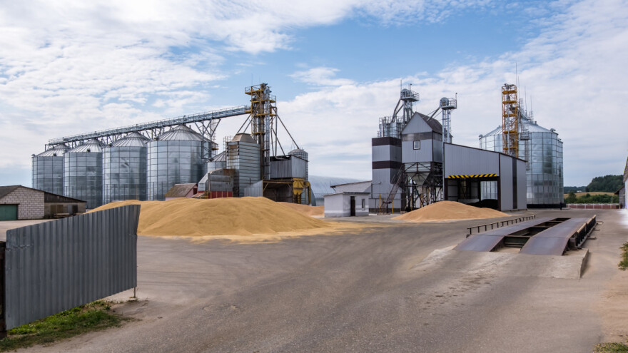Cene žitarica i uljarica u padu na evropskim berzama