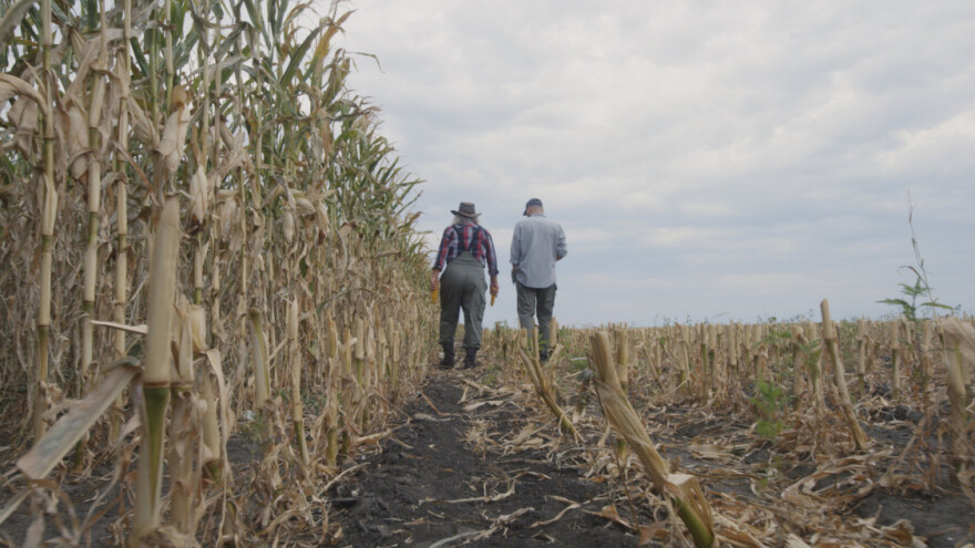 Produžen rok prijave za podsticaje za osiguranje