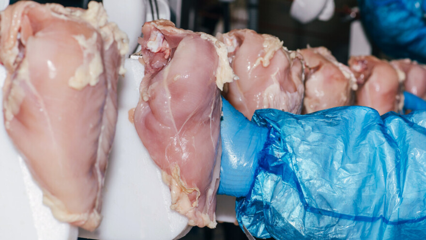 Ukrajinska piletina zaražena salmonelom kriva za 300 infekcija - jedna osoba umrla