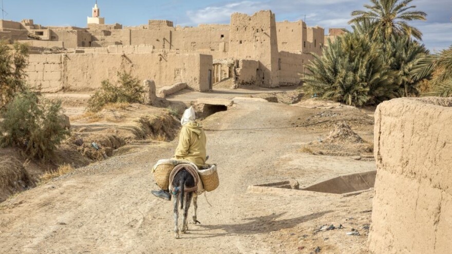 Veliki rizik od prehrambene krize na području Mediterana?