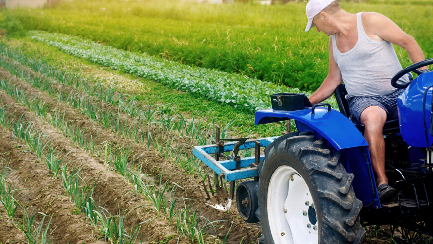 Suzbijanje korova u povrću: Koliko je učinkovito mehaničko, na što paziti kod kemijskog?