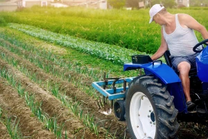 Suzbijanje korova u povrću: Koliko je efikasno mehaničko, na šta paziti kod hemijskog?