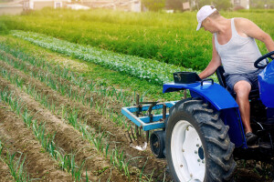 Suzbijanje korova u povrću: Koliko je učinkovito mehaničko, na što paziti kod kemijskog?